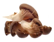 Fresh Mashroom